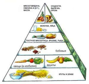 прикорм пирамида